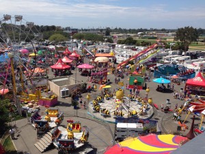 oc fair_1